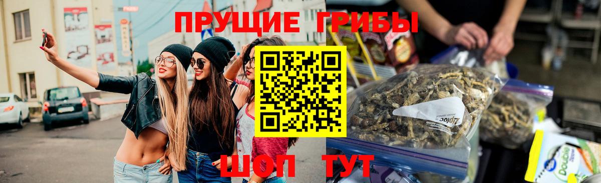 Псилоцибиновые грибы GOLDEN TEACHER  Вход с VPN  Галлюциногенные грибы MAGIC MUSHROOMS  Россия 
